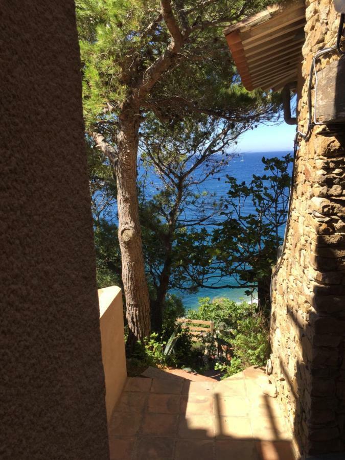 Appartement Le Baou  les pieds dans l'eau à Carqueiranne Extérieur photo